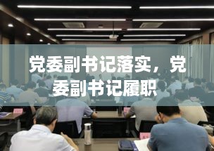 党委副书记落实，党委副书记履职 