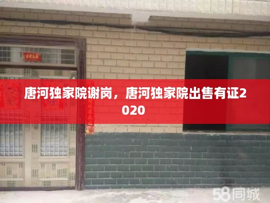 唐河独家院谢岗，唐河独家院出售有证2020 