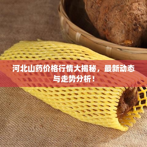 河北山药价格行情大揭秘，最新动态与走势分析！