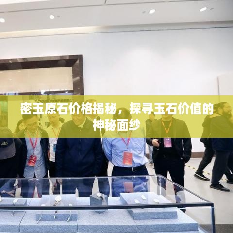 密玉原石价格揭秘，探寻玉石价值的神秘面纱
