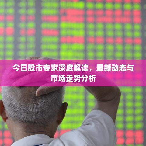 今日股市专家深度解读，最新动态与市场走势分析