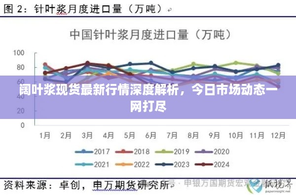 阔叶浆现货最新行情深度解析，今日市场动态一网打尽