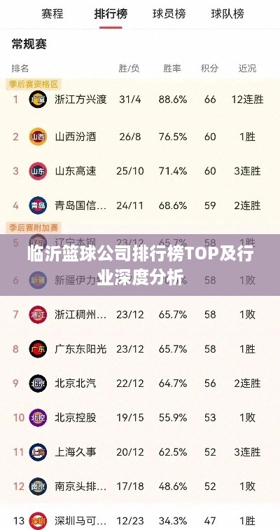 临沂篮球公司排行榜TOP及行业深度分析