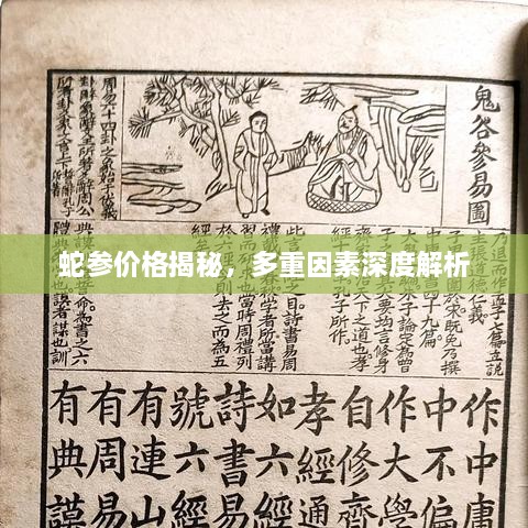 蛇参价格揭秘，多重因素深度解析