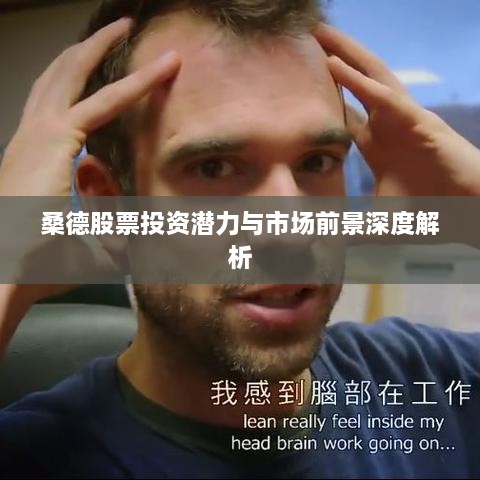 桑德股票投资潜力与市场前景深度解析