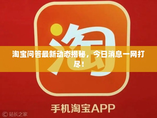 淘宝问答最新动态揭秘，今日消息一网打尽！