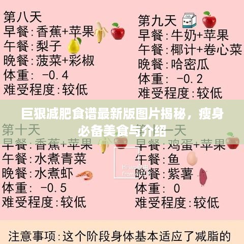 巨狠减肥食谱最新版图片揭秘，瘦身必备美食与介绍