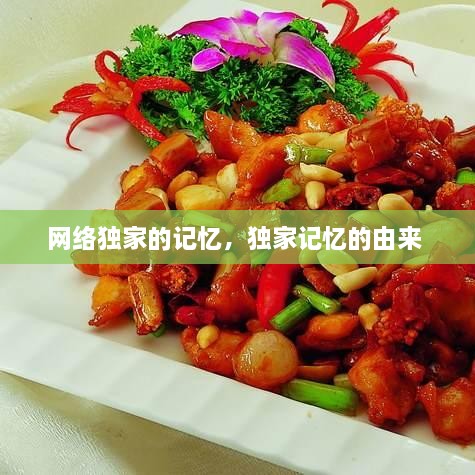 网络独家的记忆，独家记忆的由来 
