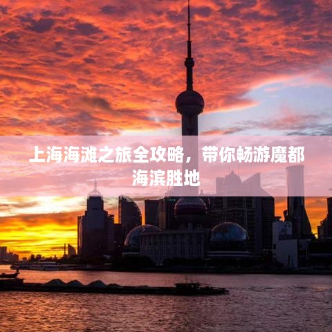 上海海滩之旅全攻略，带你畅游魔都海滨胜地