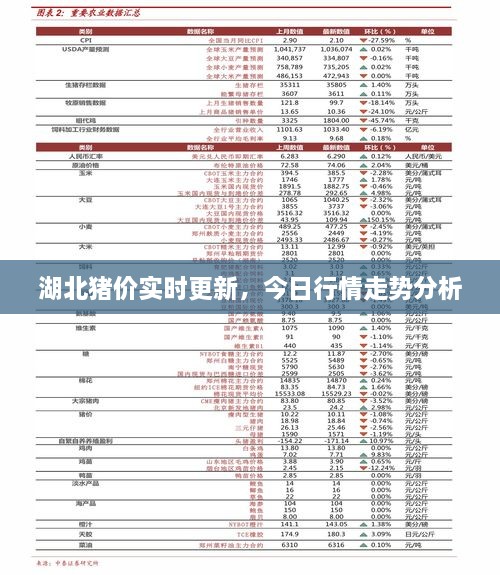 湖北猪价实时更新，今日行情走势分析