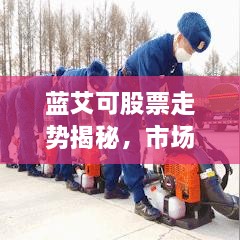 蓝艾可股票走势揭秘，市场趋势分析与投资策略探讨