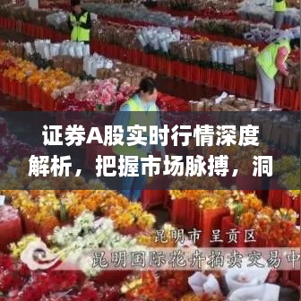 证券A股实时行情深度解析，把握市场脉搏，洞悉投资机遇