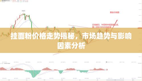 挂面粉价格走势揭秘，市场趋势与影响因素分析