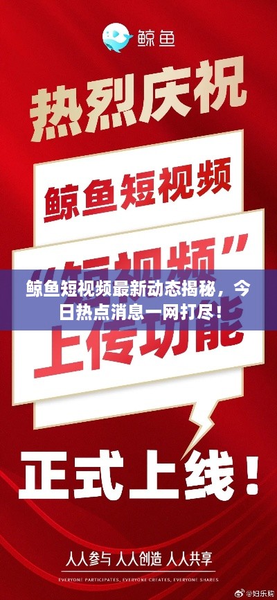 鲸鱼短视频最新动态揭秘，今日热点消息一网打尽！
