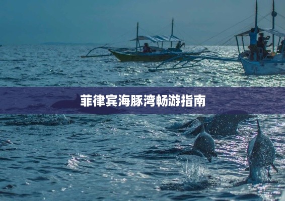 菲律宾海豚湾畅游指南