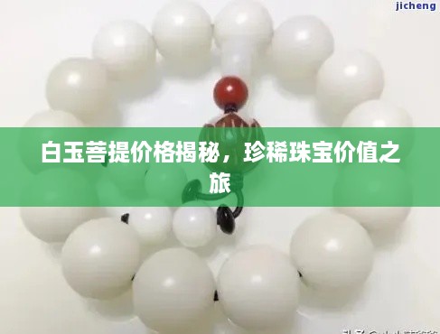 白玉菩提价格揭秘，珍稀珠宝价值之旅