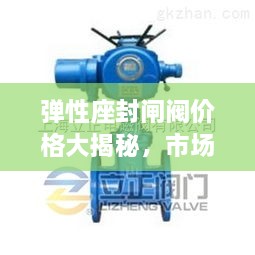 弹性座封闸阀价格大揭秘，市场行情解析与选购指南