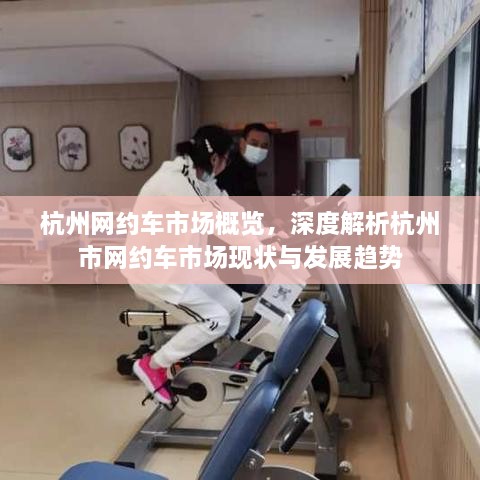 杭州网约车市场概览，深度解析杭州市网约车市场现状与发展趋势