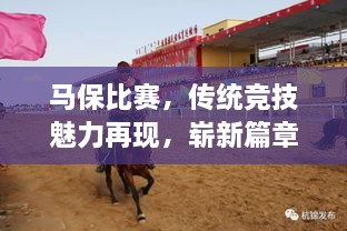 马保比赛，传统竞技魅力再现，崭新篇章开启！