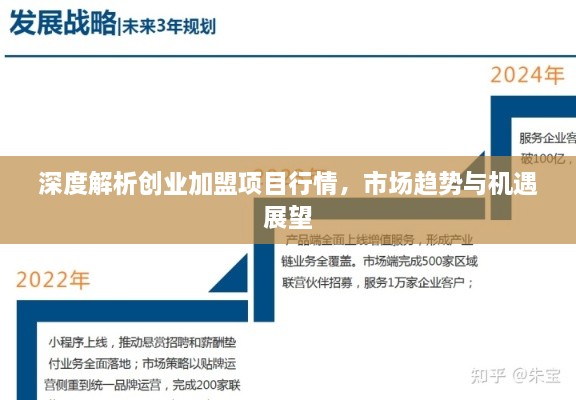 深度解析创业加盟项目行情，市场趋势与机遇展望