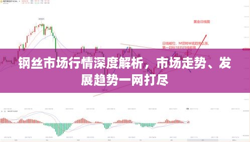 钢丝市场行情深度解析，市场走势、发展趋势一网打尽