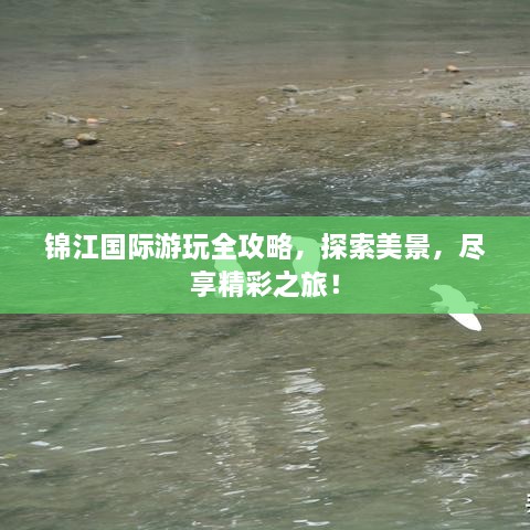 锦江国际游玩全攻略，探索美景，尽享精彩之旅！