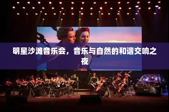 明星沙滩音乐会，音乐与自然的和谐交响之夜