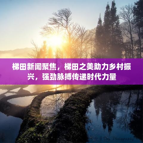梯田新闻聚焦，梯田之美助力乡村振兴，强劲脉搏传递时代力量