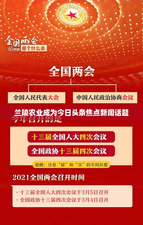 兰陵农业成为今日头条焦点新闻话题