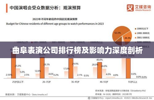 曲阜表演公司排行榜及影响力深度剖析