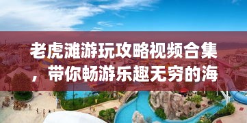 老虎滩游玩攻略视频合集，带你畅游乐趣无穷的海滨胜地！