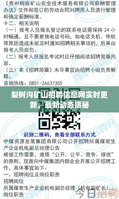 梨树沟矿山招聘信息网实时更新，最新动态揭秘