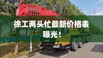 徐工两头忙最新价格表曝光！