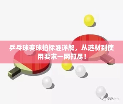 乒乓球赛球拍标准详解，从选材到使用要求一网打尽！