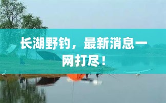 长湖野钓，最新消息一网打尽！