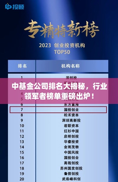 中基金公司排名大揭秘，行业领军者榜单重磅出炉！