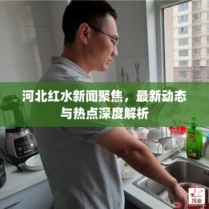河北红水新闻聚焦，最新动态与热点深度解析