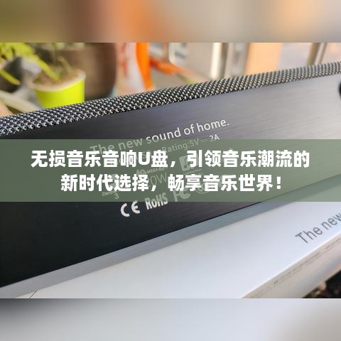 无损音乐音响U盘，引领音乐潮流的新时代选择，畅享音乐世界！