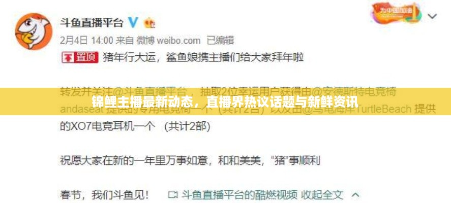 锦鲤主播最新动态，直播界热议话题与新鲜资讯