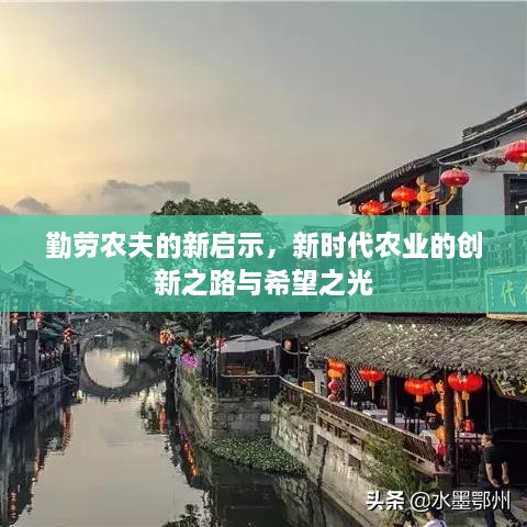 勤劳农夫的新启示，新时代农业的创新之路与希望之光