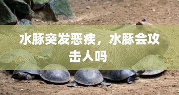 上海租房 第33页