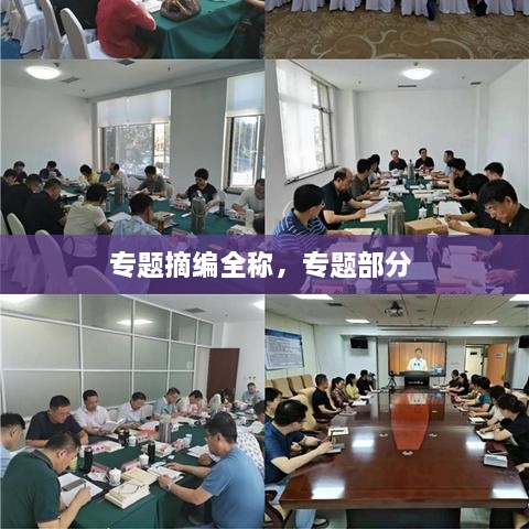 专题摘编全称，专题部分 