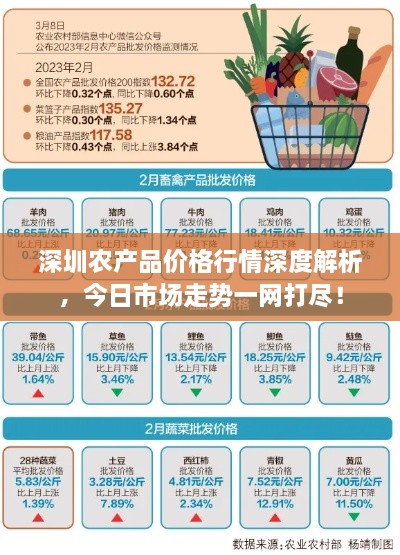 深圳农产品价格行情深度解析，今日市场走势一网打尽！