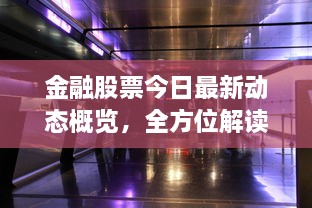 金融股票今日最新动态概览，全方位解读市场走势