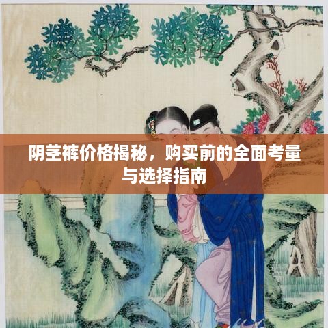 阴茎裤价格揭秘，购买前的全面考量与选择指南