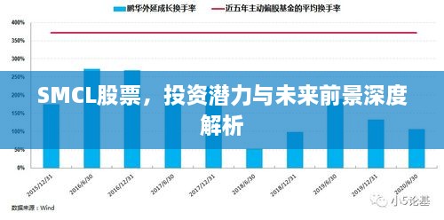 SMCL股票，投资潜力与未来前景深度解析