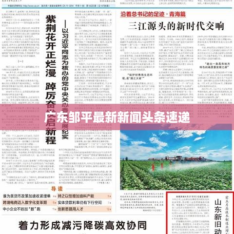 广东邹平最新新闻头条速递