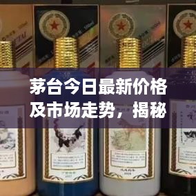 茅台今日最新价格及市场走势，揭秘消费者关注焦点