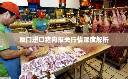 厦门进口猪肉报关行情深度解析