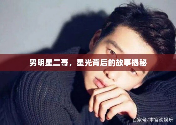 男明星二哥，星光背后的故事揭秘